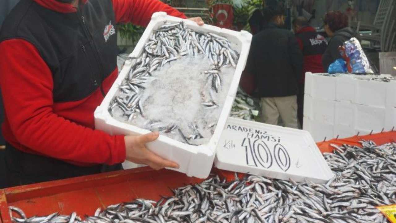 Edirne'de Hamsi Fiyatları